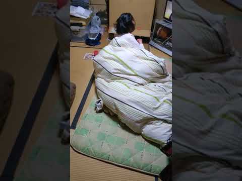 スターどっきり㊙️報告会     新垣結衣