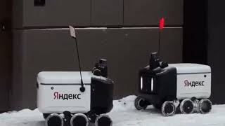 Food Delivery Robots in Russian Having a Conflict