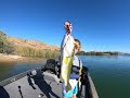 Fishing Lake Havasu With Gilbert