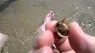 WP 20140625 001