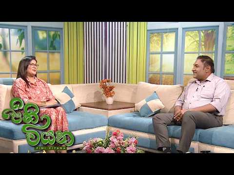 Pini Viyana - (2026-07-24) | ITN