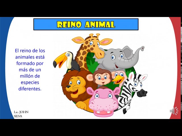 REINO ANIMAL _ CARACTERISTICAS Y CLASIFICACIÓN - Para niños - thptnganamst.edu.vn