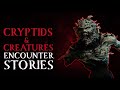 SCARY CREATURES AND CRYPTID ENCOUNTER STORIES