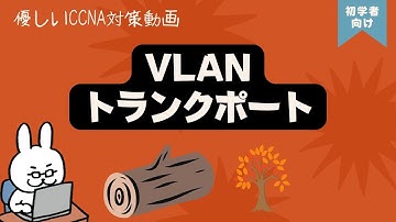 【#49 CCNA 】【4章 VLAN】VLAN トランクポート
