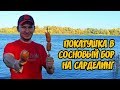 Покатушка на велосипедах в Сосновый Бор. Жарим сардельки на костре