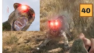 Far Cry 5 Walkthrough Gameplay Part 40-The Judge Cougar