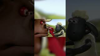 Doom Bull🐑🐑 #Shorts #Shaunthesheep #Cartoonforkids  #Fullepisodes #English #Animation #Sports #Clips