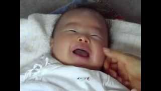 せんももあいしーはなぜ人気なの 登録者数の推移と年収はいくら かえるのうた