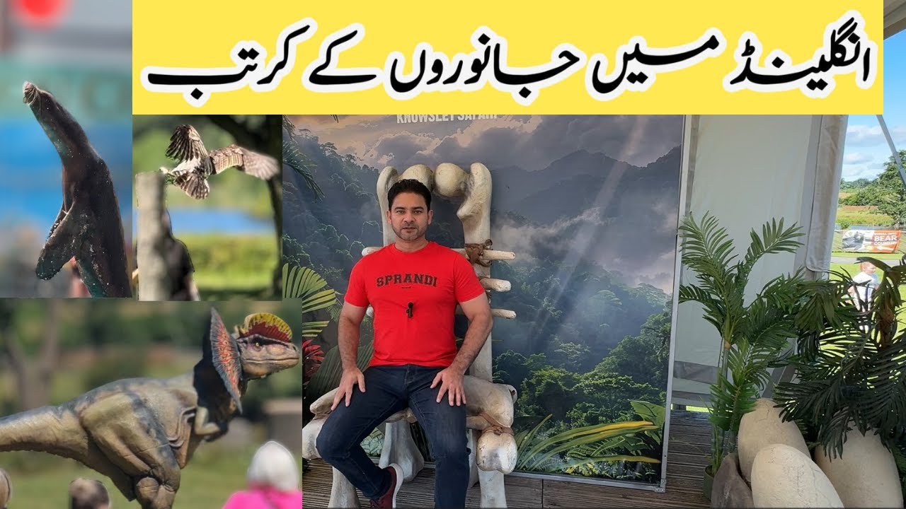 Animal Shows and zoo  in Uk 🇬🇧 | Knowsley Safari Park 2024