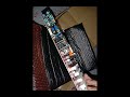 Video Image