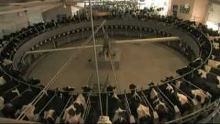 GEA Farm Technologies - AutoRotor Magnum & Global