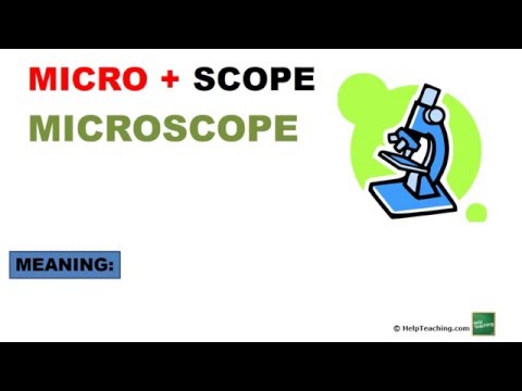 Video: Vad betyder prefixet mikro i vetenskapen?