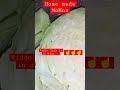 Momos recipe momos sauce recipe #ytshorts #shorts #momos #food #tasty #yummy