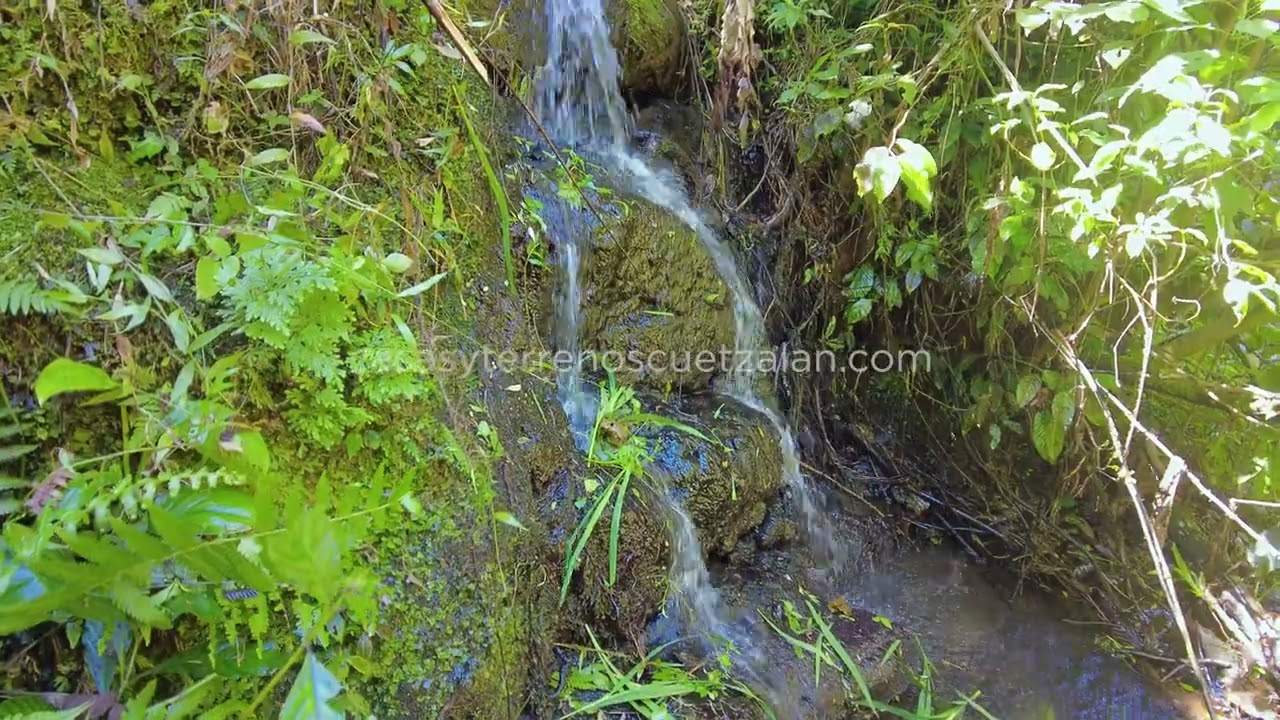 Terreno en Couatichan de 550 metros con arroyo a 15 minutos del centro de Cuetzalan