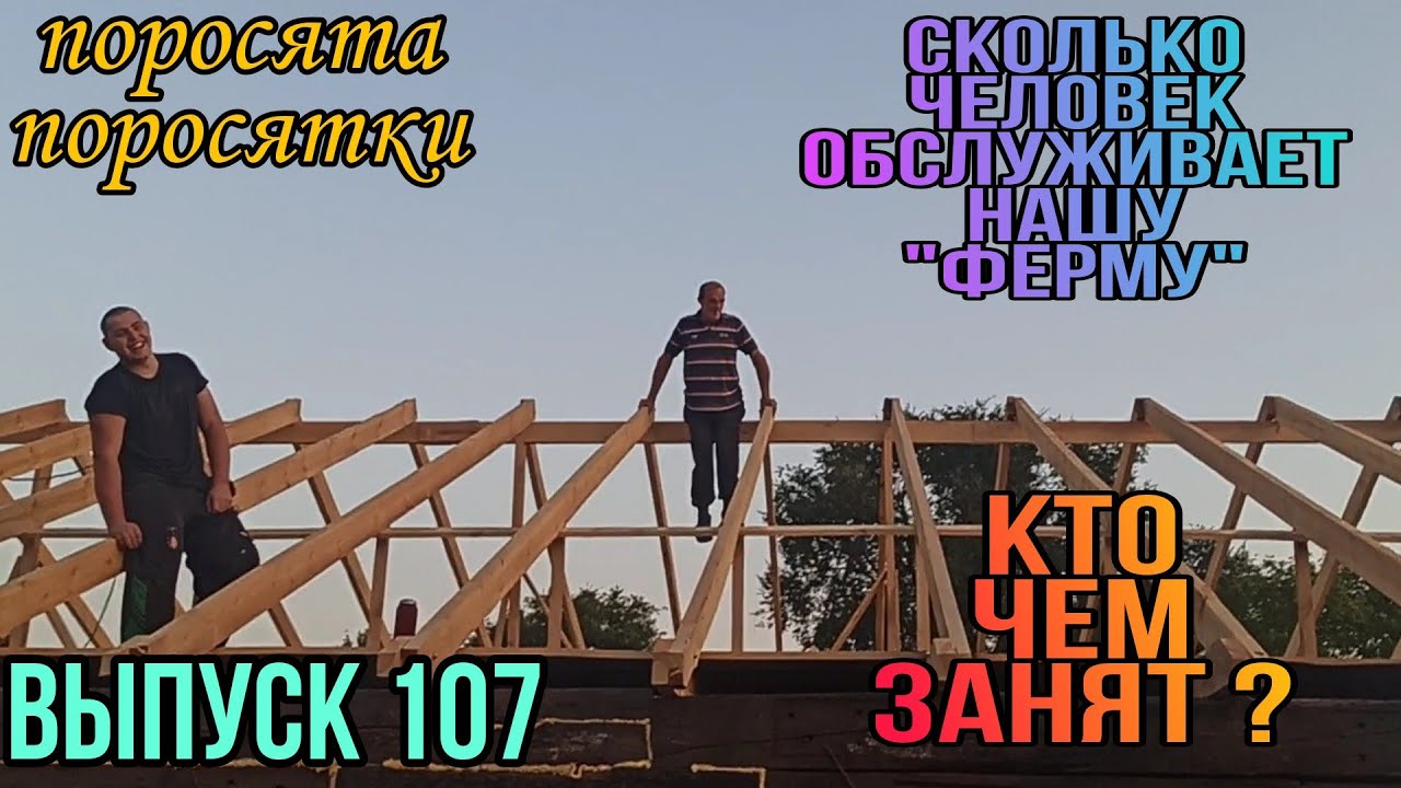 Сколько человек обслуживает нашу "ферму". Кто чем занимается по ...