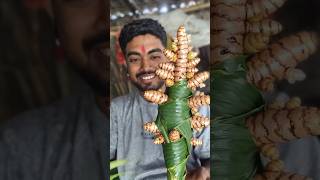Making a GIANT Turmeric Root from Leaves 😳🍃 | 8s Satisfying Craft #shorts