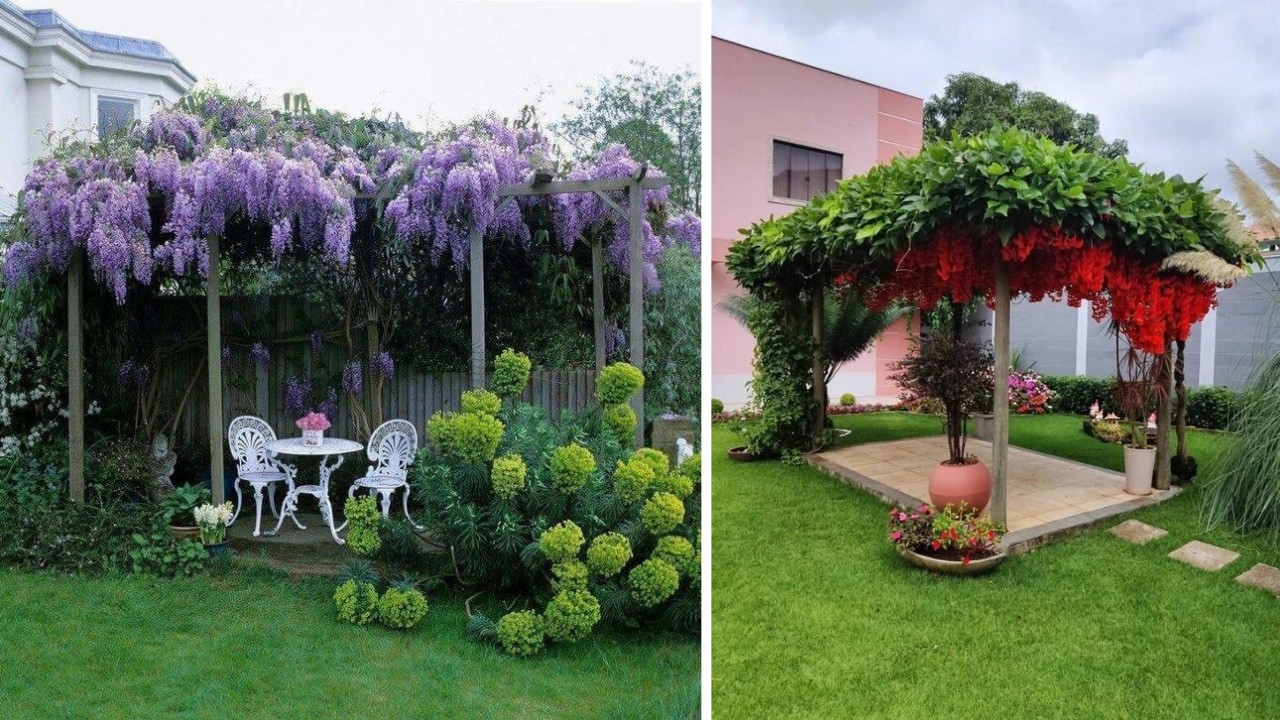 +234 iDEAS de PLANTAS ENREDADERAS Y TREPADORAS para diseñar espacios interiores y exteriores