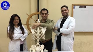 اغنية تخرج كليه العلاج الطبيعي جامعة القاهرة ( انا سينيور خلاص ومروح )🔥2019