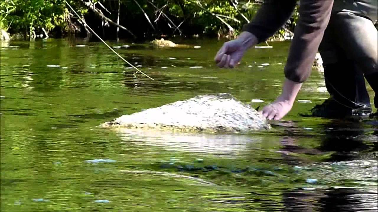 Nova Scotia fly fishing part 59 YouTube Nova Scotia fly fishing part 59 YouTube