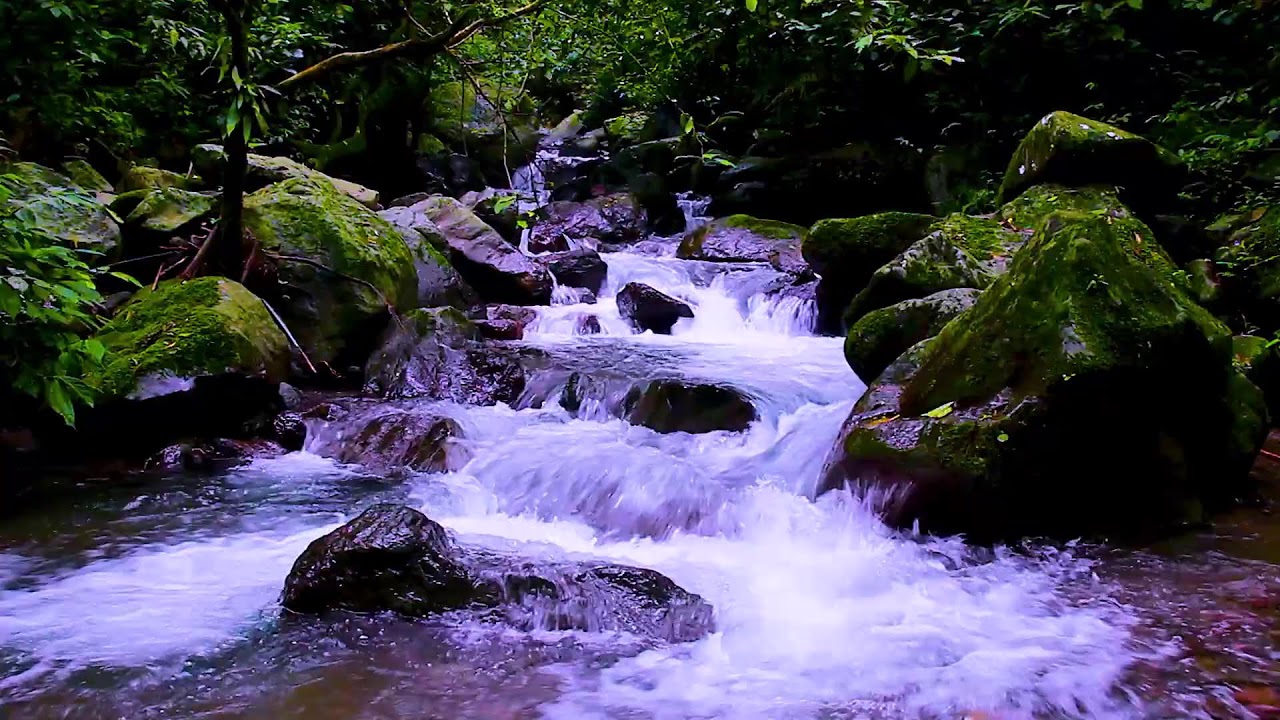 Fall Asleep in Minutes | Peaceful River Flow for Deep Sleep and Calm Mind