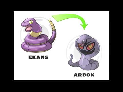 all kinds of pok