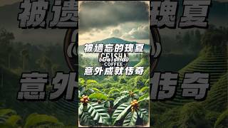 被遺忘的瑰夏意外成就傳奇 Geisha Kona