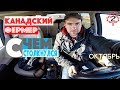 Канадский фермер.Отношение фермера.Работа на ферме отзывы