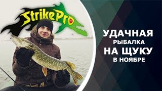 Удачная рыбалка на щуку в ноябре. Ловля на воблеры Strike Pro. Отчет с рыбалки