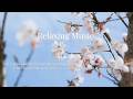 Step Away from the Rush 🕊️ Peaceful Spring Morning Music for Stress Relief & Reset