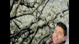 Wali  - Cari Jodoh (Video Clip Fabrizio Faniello I No Can Do )