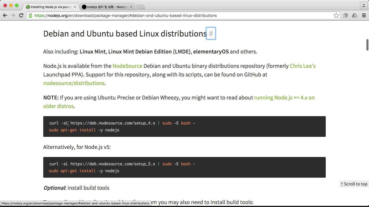 서버 측 JS : 설치