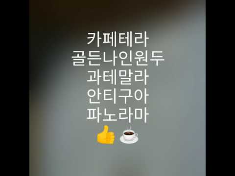 골든나인커피원두 프리미엄원두 과테말라 안티구아 파노라마원두