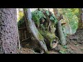 Building warm bushcraft survival shelter in the forest fireplace catch and cook solo camping