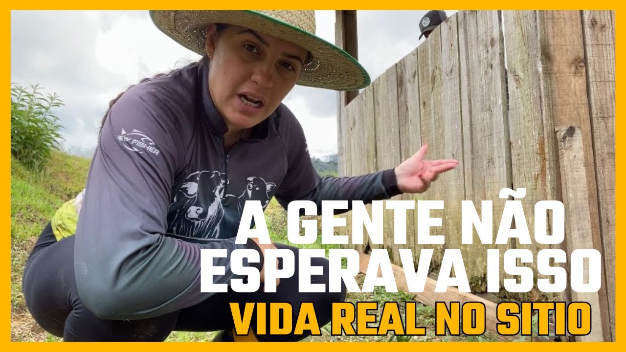 Começamos a reforma do chiqueiro… e o temporal mudou tudo ⛈️🐖🐷 