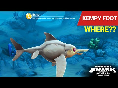 فيديو: من هو kempy bass؟