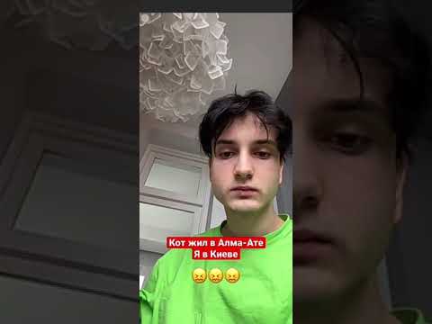 Данкар не сбивал кота Симбу