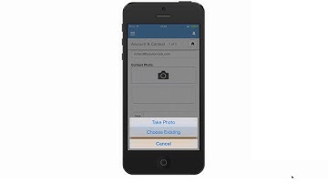 Create Multiple Salesforce Records With a Single Mobile Form