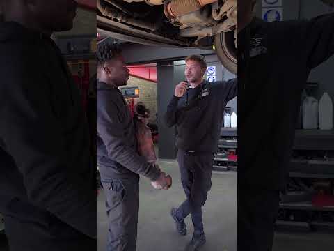 Mini Repair Specialists Near Me