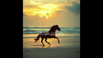 سورة العاديات بصوت الشيخ ياسر الدوسري #تلاوه