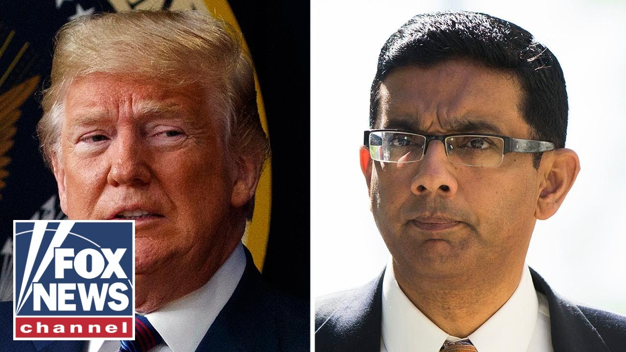 A Look at Dinesh D'Souza, Pardoned by Trump