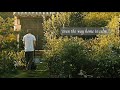 “even the way home is calm ”  - (Relaxing Playlist Music for Stress Relief)