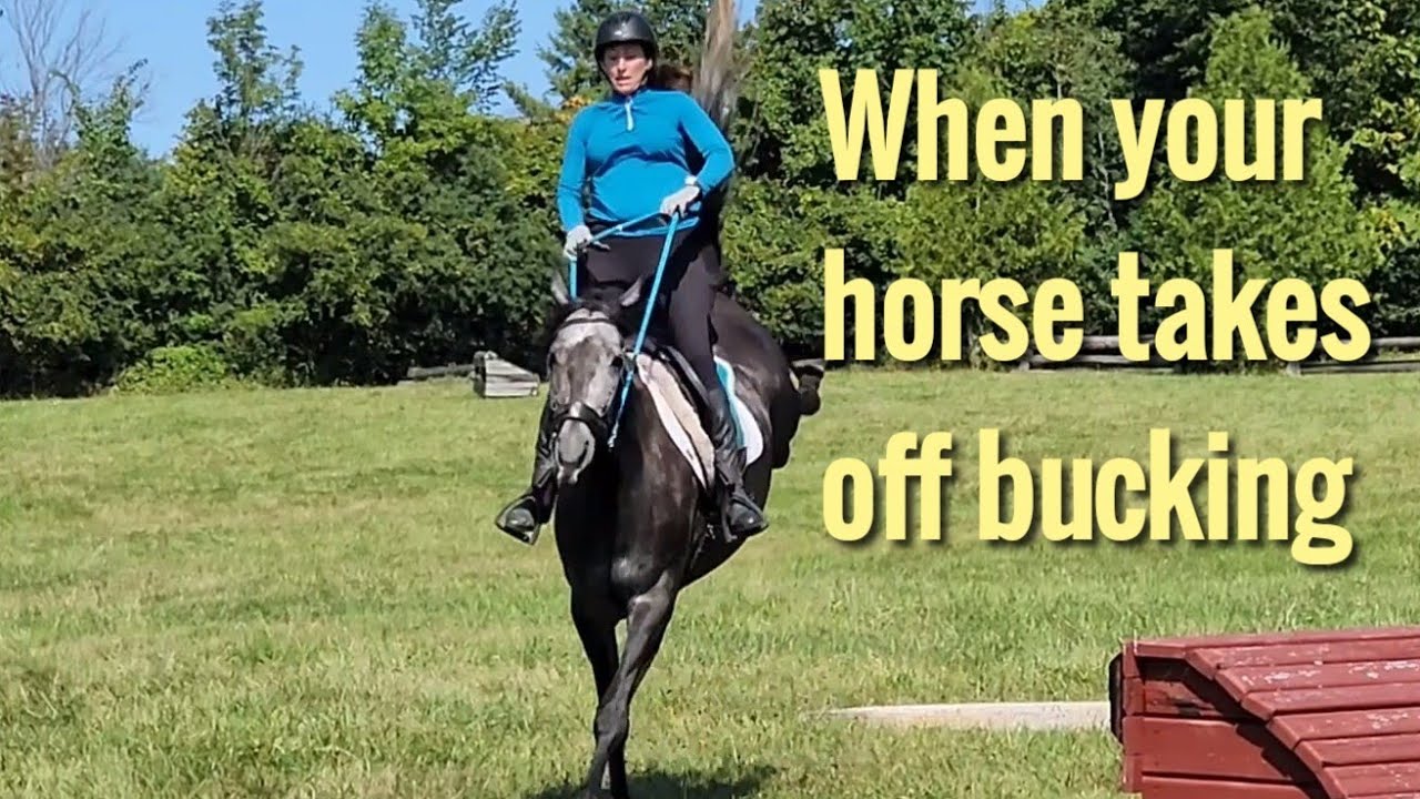When your horse takes off bucking... what to do, not to do, and working