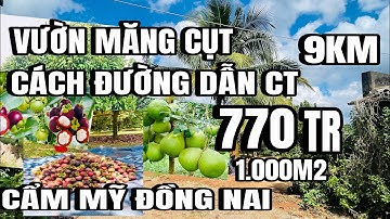 Cô hậu cuối năm đáo hạn ngân hàng, bán gấp vườn đủ loại trái cây, cho thu mạnh, cẩm mỹ đồng Nai