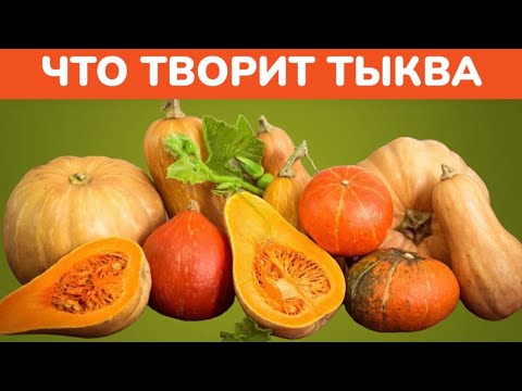 Что будет с организмом, если есть тыкву каждый день? Тыква польза и вред…