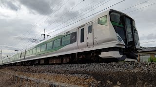 【GW限定臨時列車】JR東日本E257系5500番台 特急花咲く大藤まつり号 八王子行 JR両毛線 あしかがフラワーパーク～足利