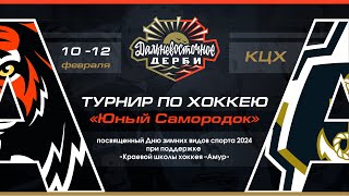 Амур 12/2 - Амур 10/2. 10.02.2024. Прямой Эфир