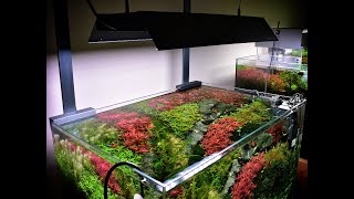 Chihiros Rgb Vivid-2 Kutu Açılımı Ve Inceleme