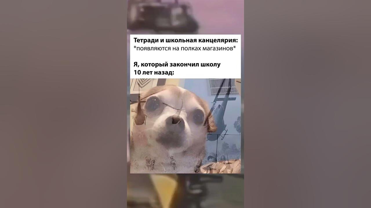 Вьетнамские флешбеки #short - YouTube