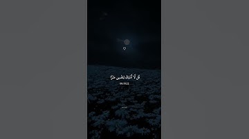 قُل لَّا أَمْلِكُ لِنَفْسِي ضَرًّا وَلَا نَفْعًا    القارئ عبد الرحمن مسعد