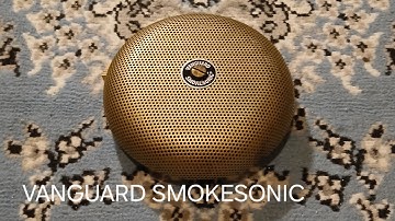 Review of the Vanguard SmokeSonic Smoke Alarm 